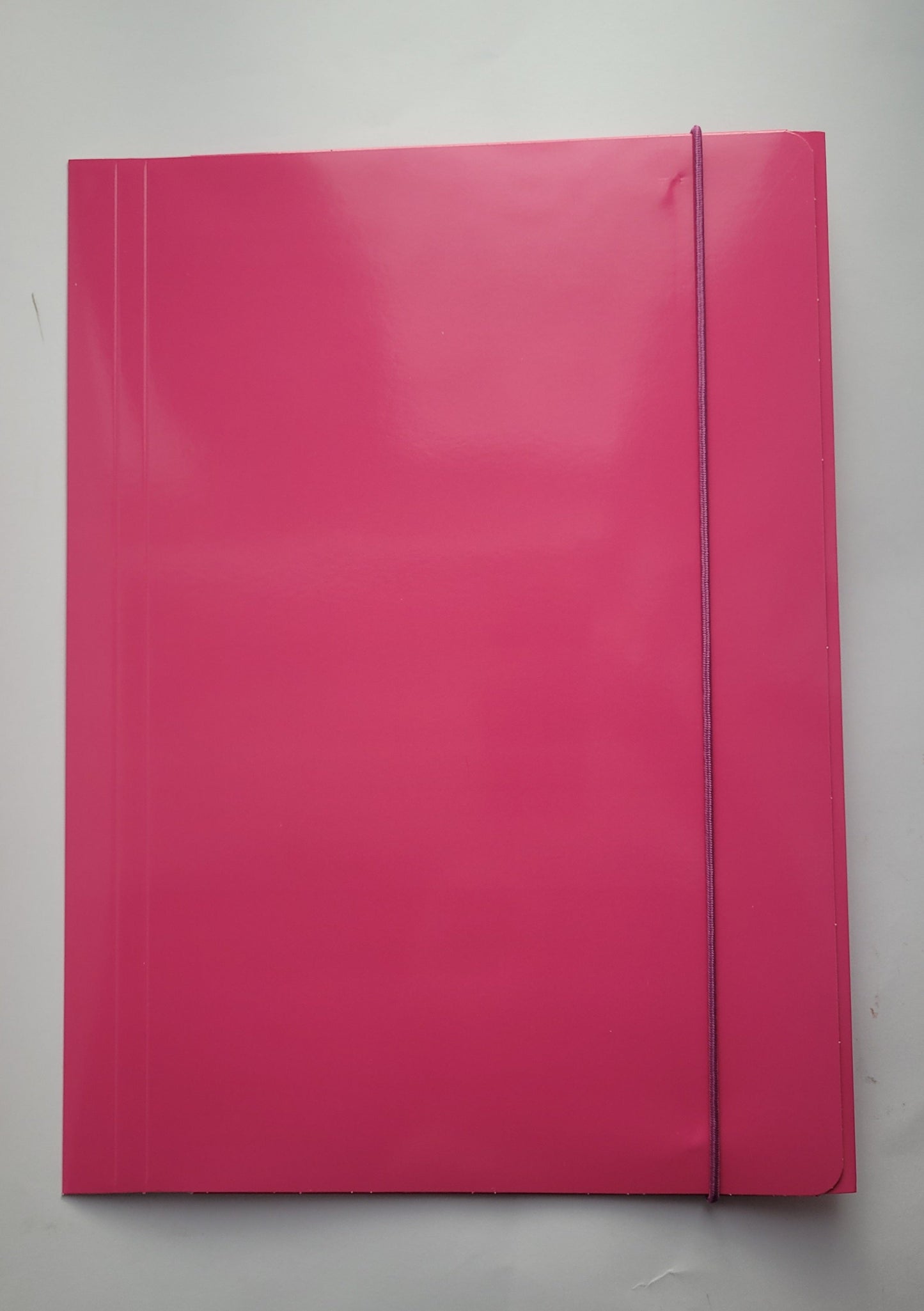 Fascikla sa gumom 400g - Pink