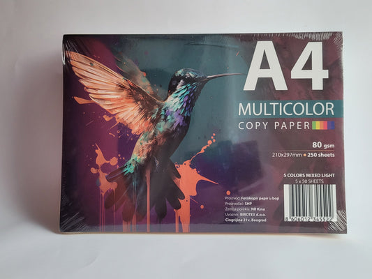 Papir A/4 boja 1/250