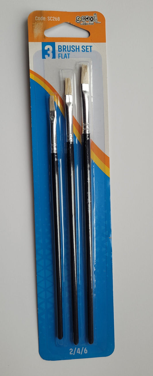 Set četkica 1/3 S-cool - Flat